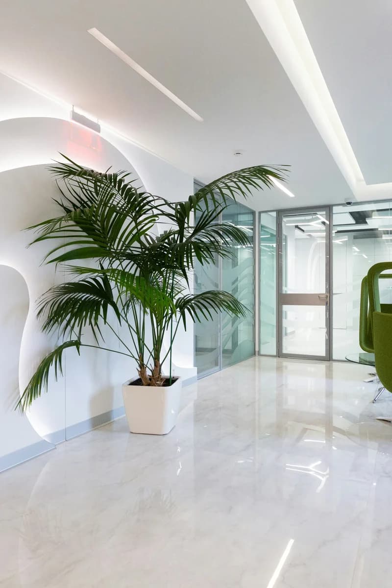 Modern Clinic